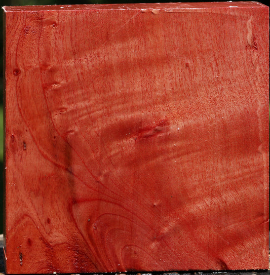 Figured Pepperwood Bowl Blank