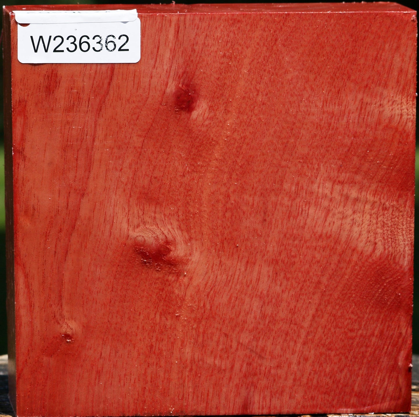 Figured Pepperwood Bowl Blank