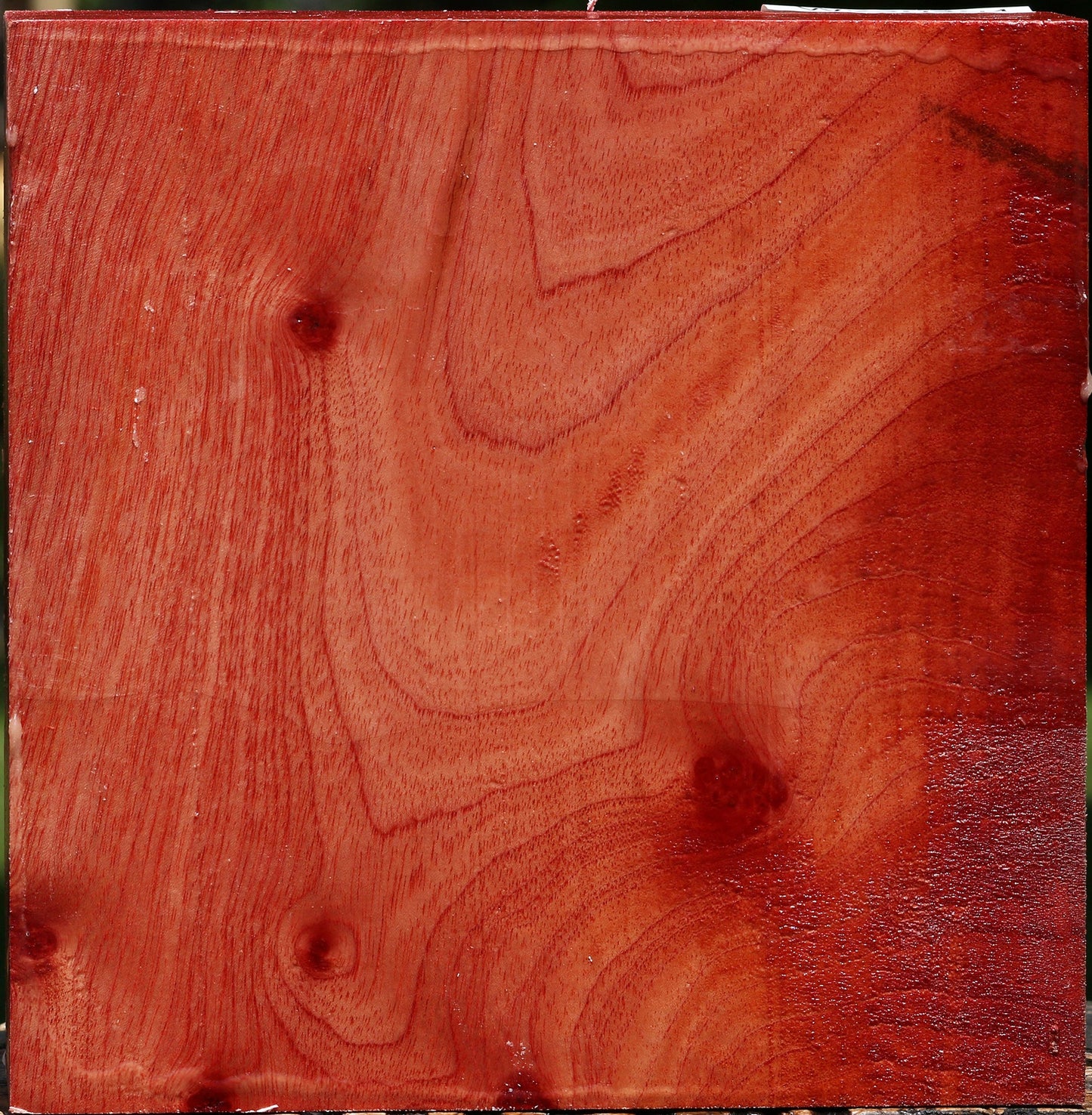 Pepperwood Bowl Blank