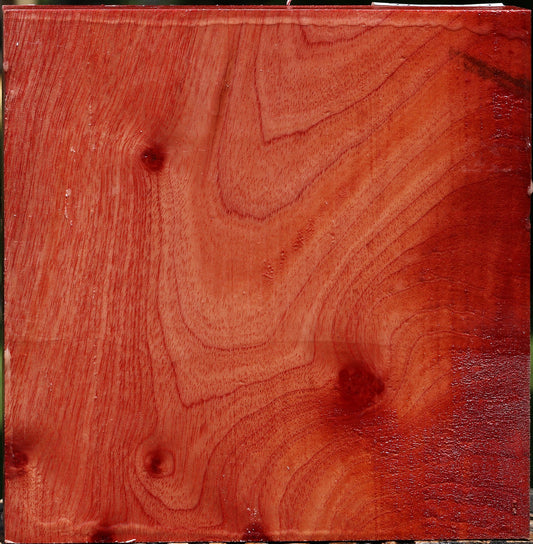 Pepperwood Bowl Blank