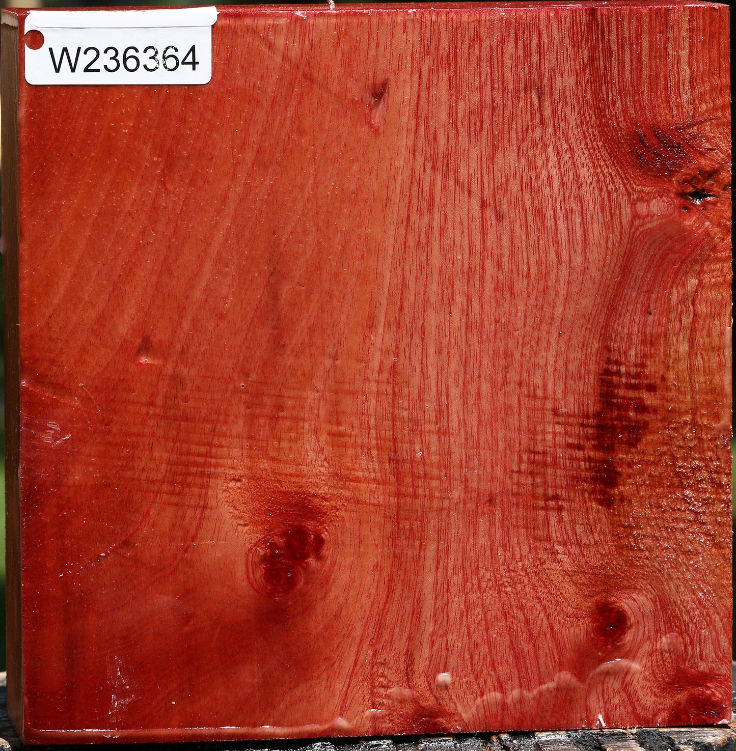 Pepperwood Bowl Blank