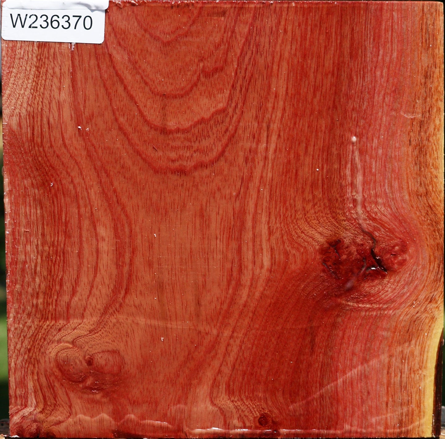 Pepperwood Bowl Blank