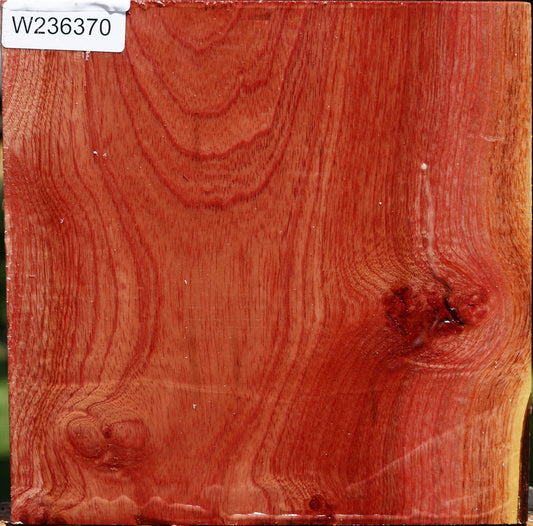 Pepperwood Bowl Blank