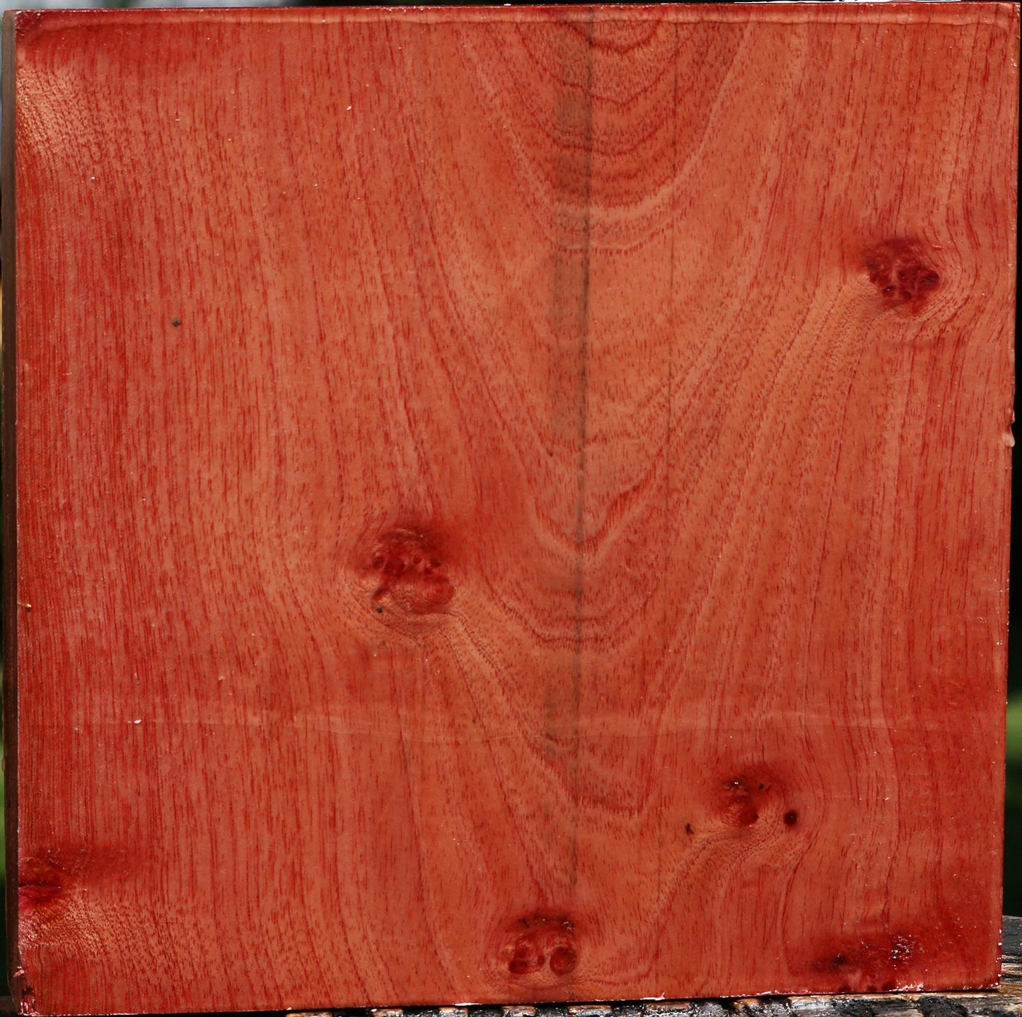 Pepperwood Bowl Blank