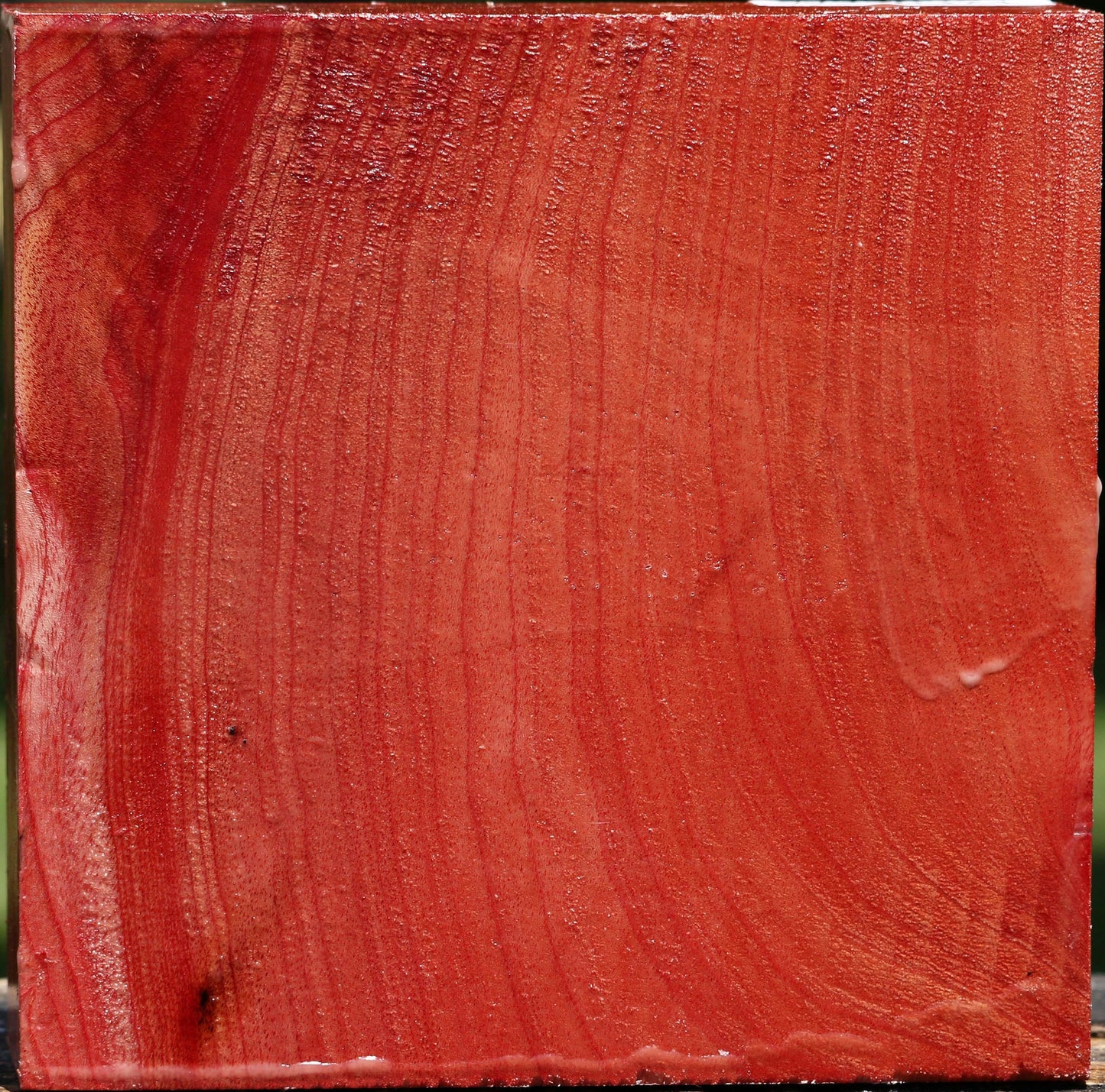 Figured Pepperwood Bowl Blank