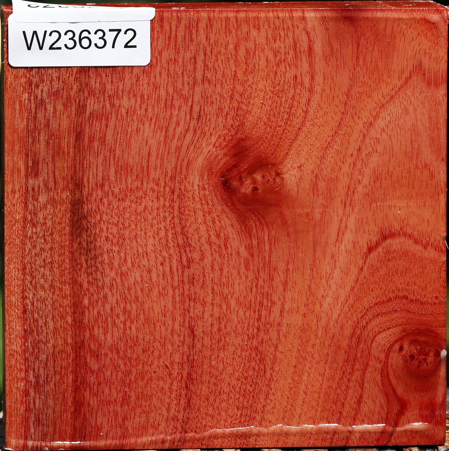 Figured Pepperwood Bowl Blank