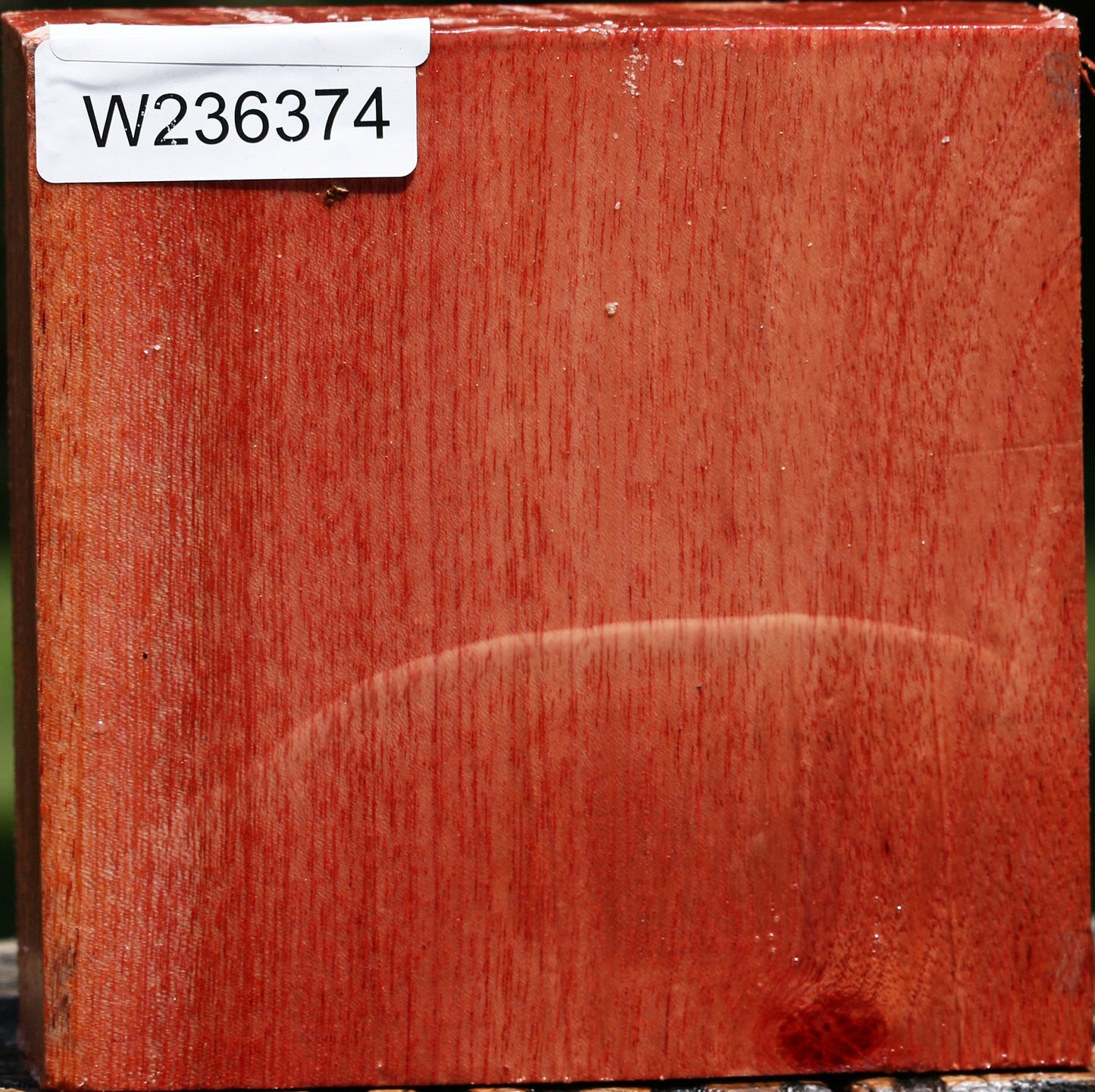 Pepperwood Bowl Blank