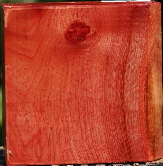 Pepperwood Bowl Blank