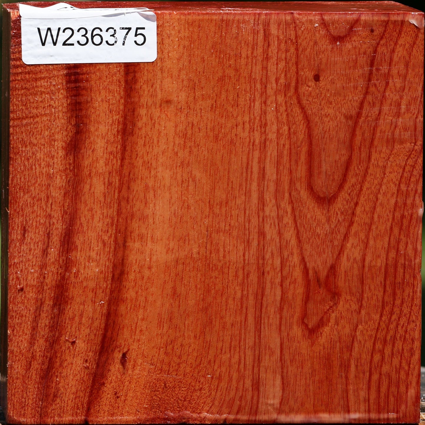 Pepperwood Bowl Blank