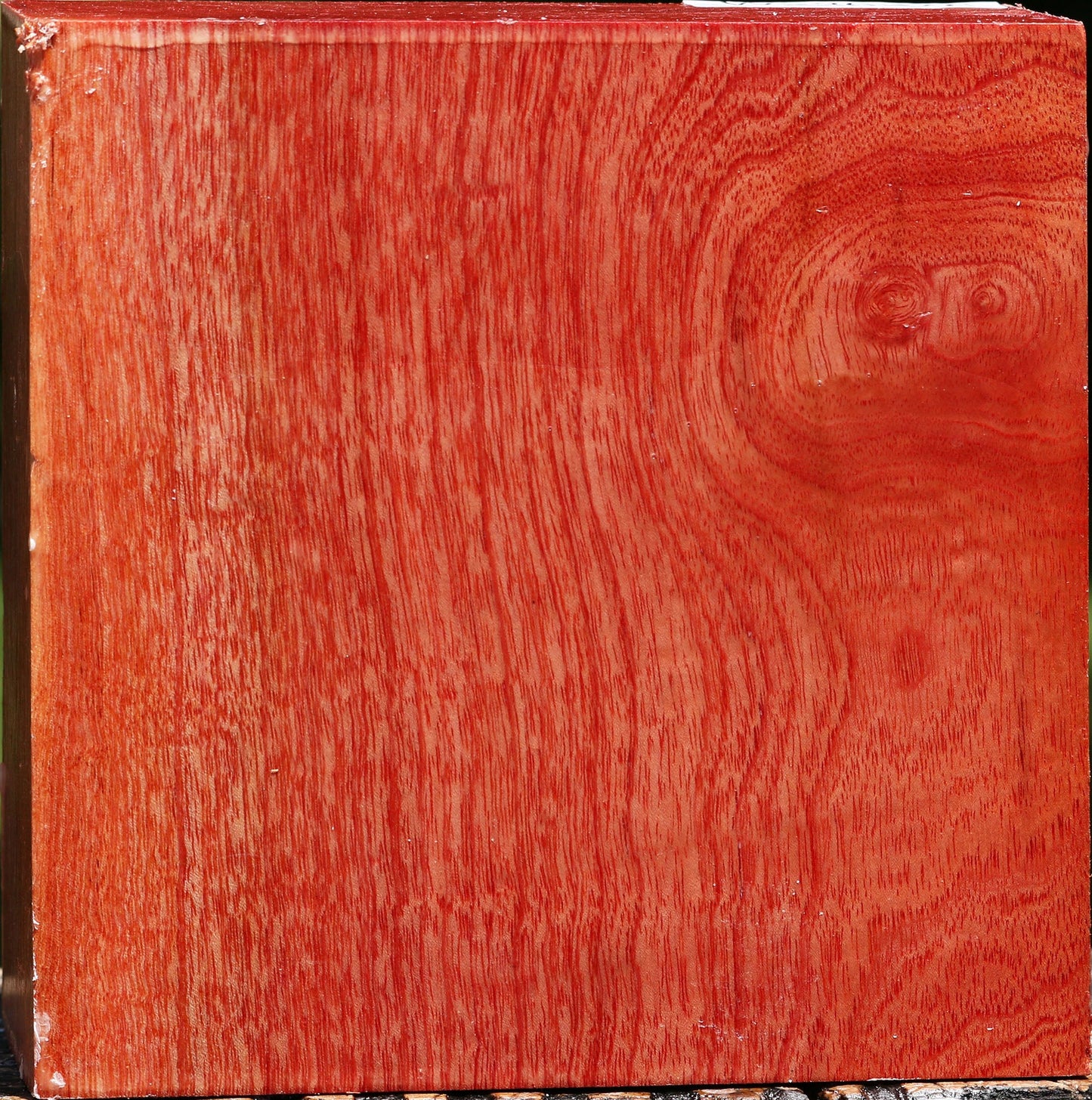 Pepperwood Bowl Blank