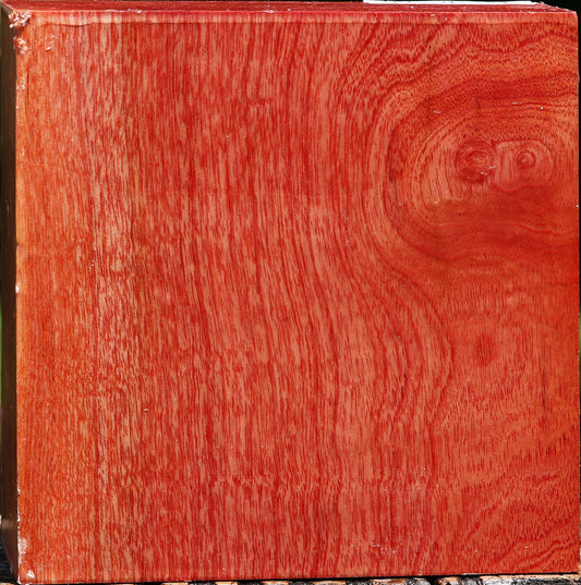 Pepperwood Bowl Blank