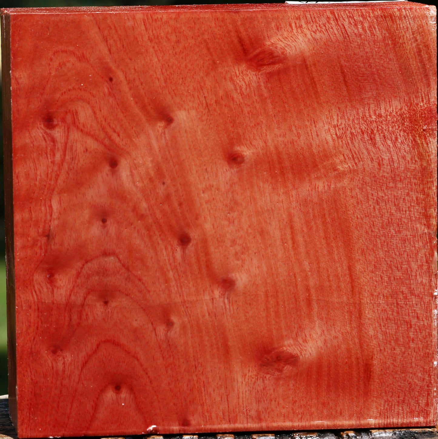 Pepperwood Bowl Blank