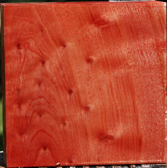 Pepperwood Bowl Blank