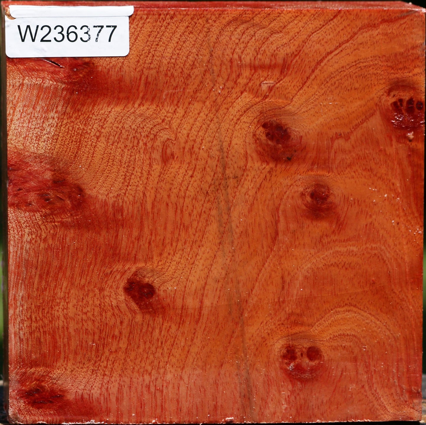 Pepperwood Bowl Blank