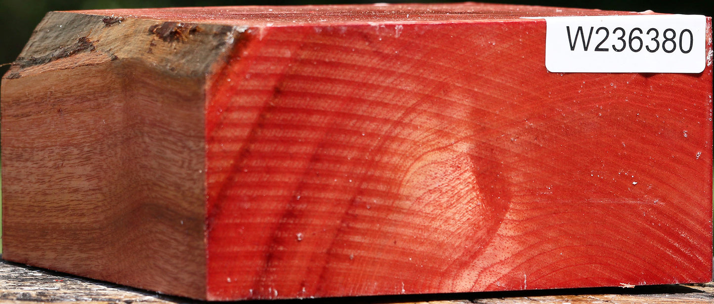 Pepperwood Bowl Blank