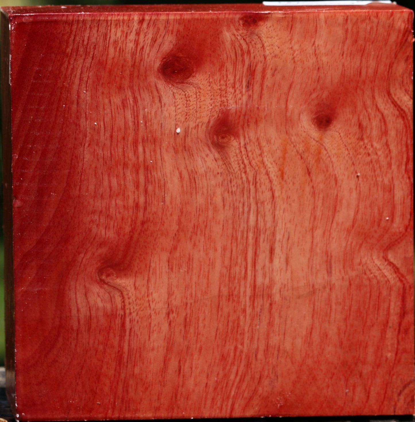 Figured Pepperwood Bowl Blank