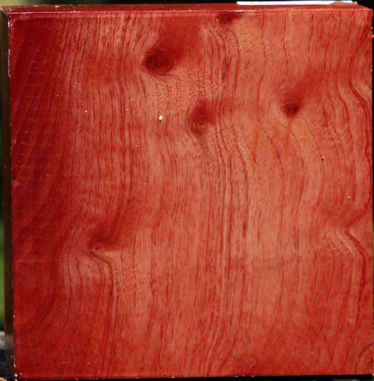 Figured Pepperwood Bowl Blank