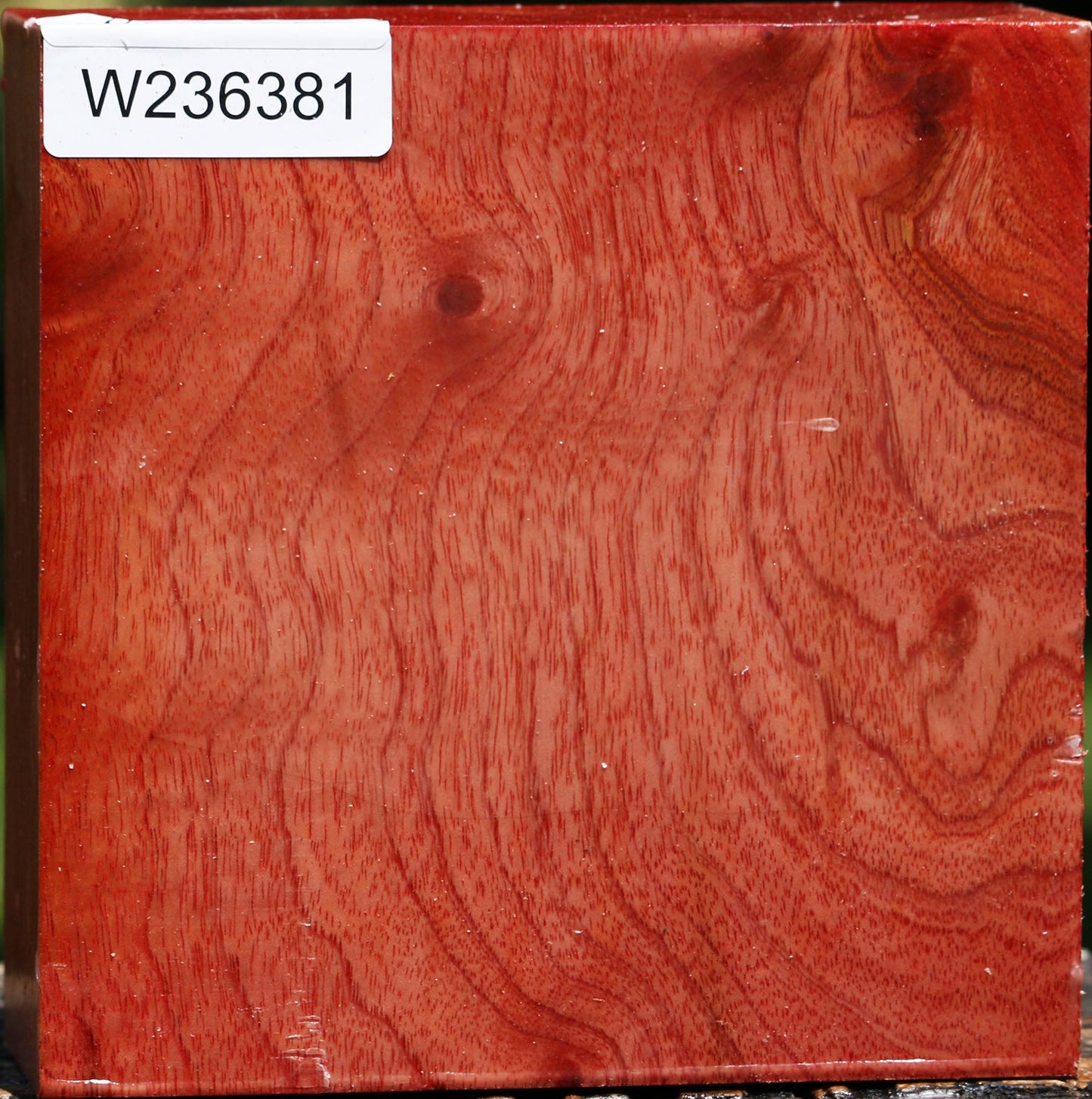 Figured Pepperwood Bowl Blank