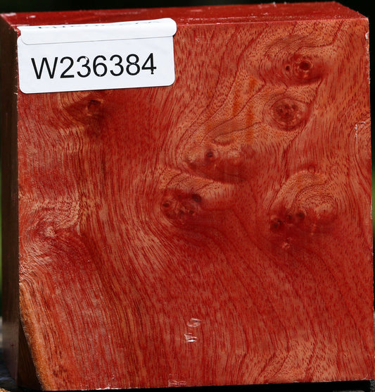 Extra Fancy Pepperwood Bowl Blank