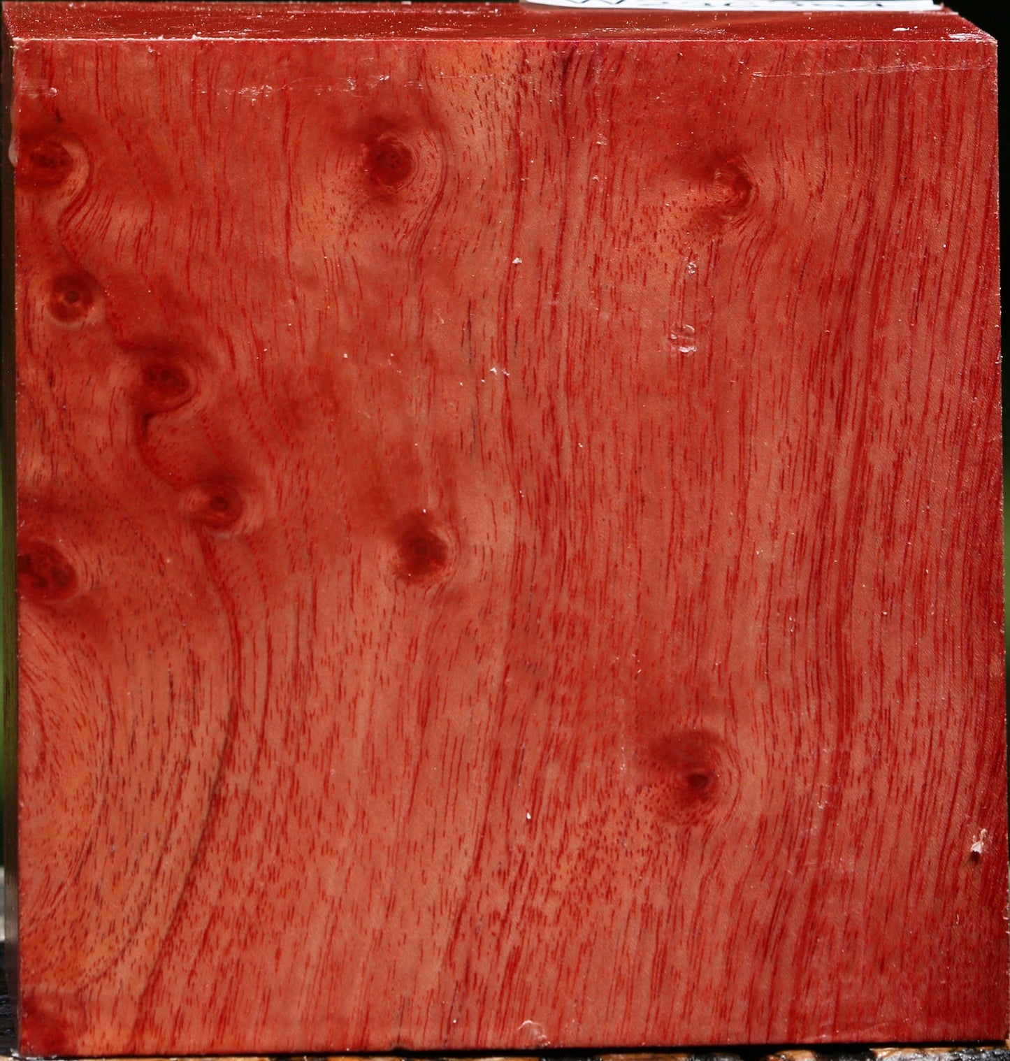 Extra Fancy Pepperwood Bowl Blank