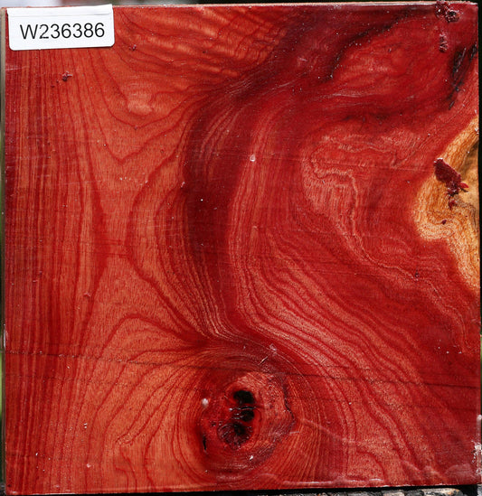 Extra Fancy Pepperwood Bowl Blank