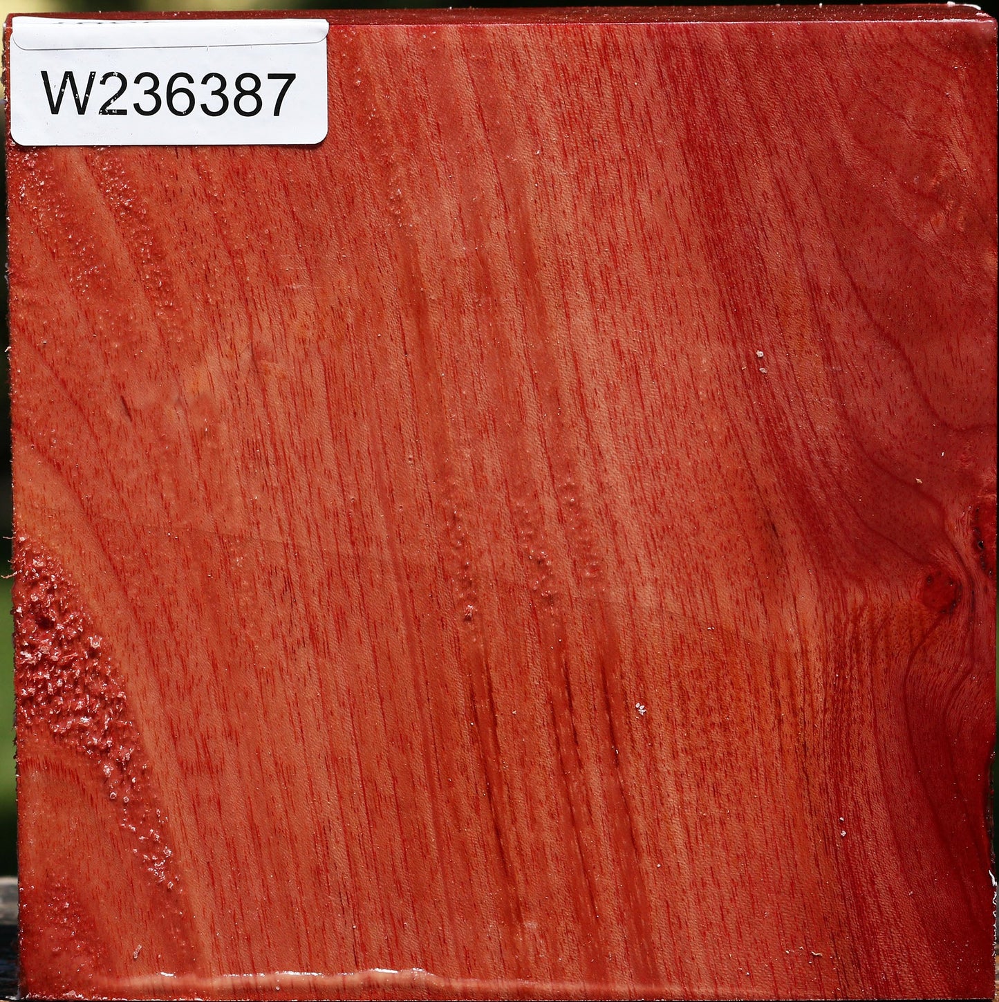 Pepperwood Bowl Blank