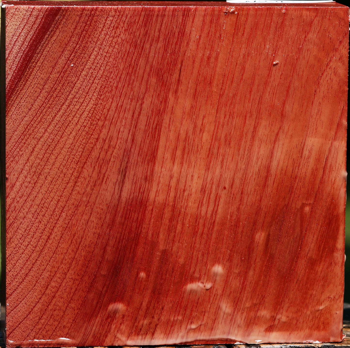 Pepperwood Bowl Blank