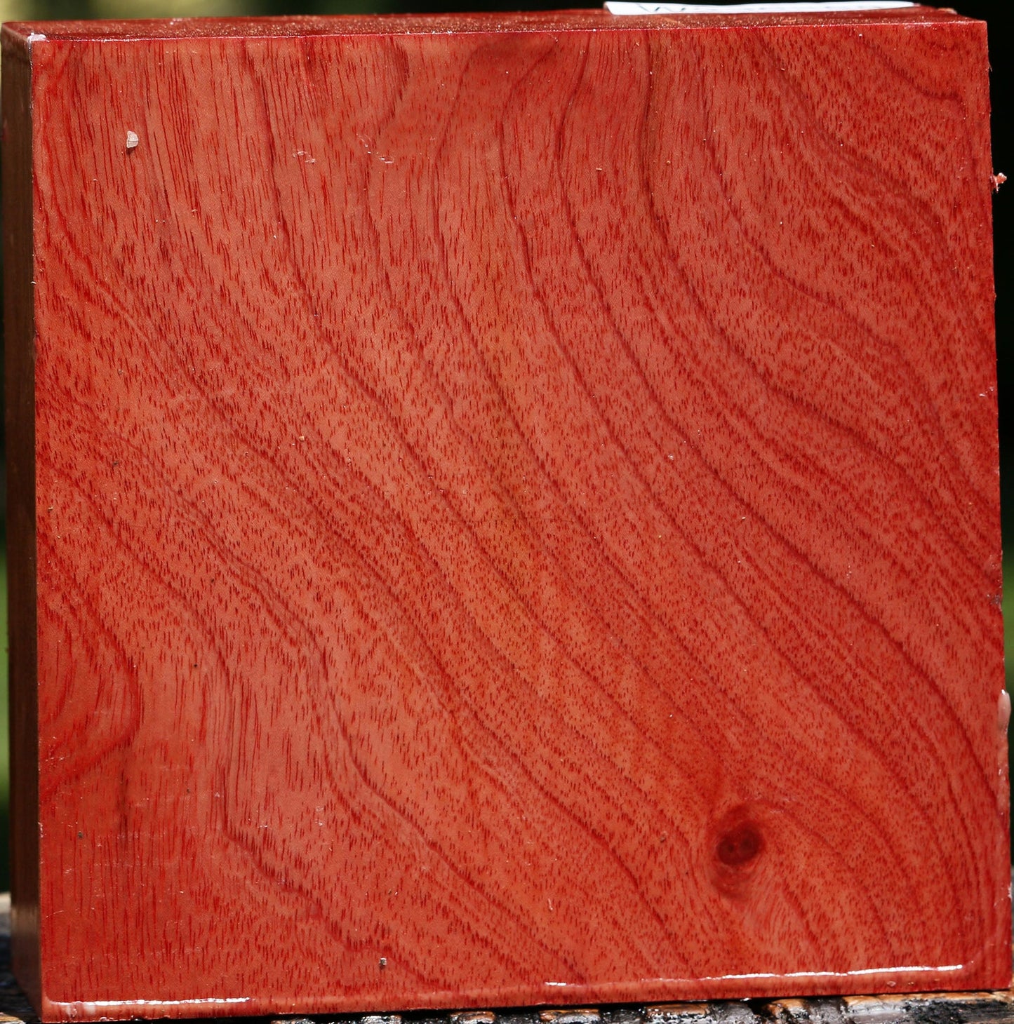 Pepperwood Bowl Blank