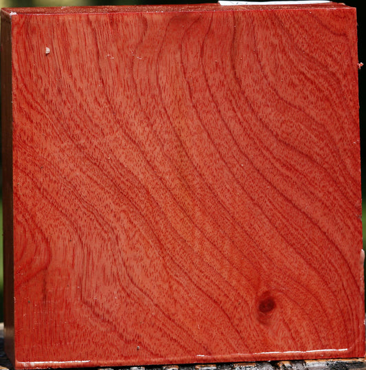 Pepperwood Bowl Blank