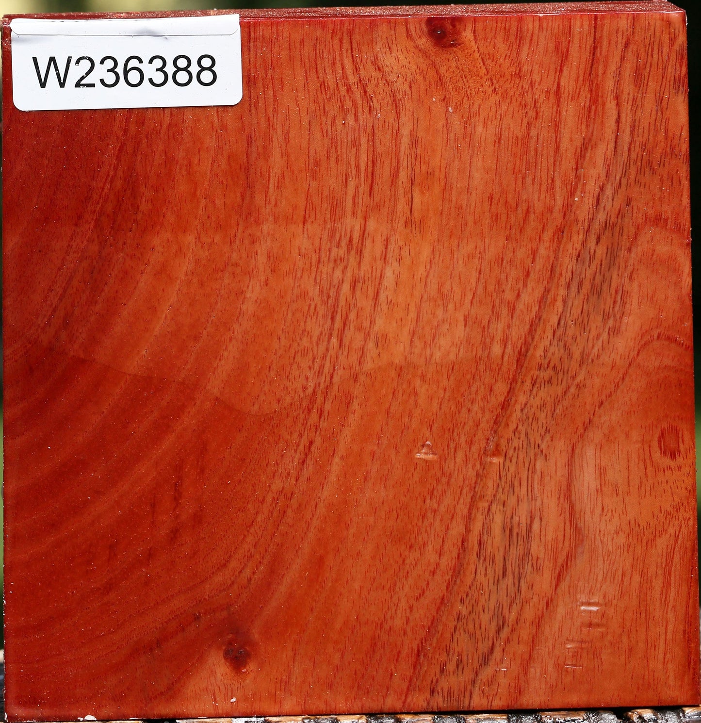 Pepperwood Bowl Blank