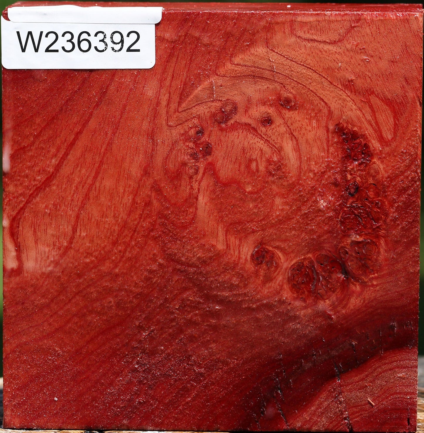 Pepperwood Bowl Blank