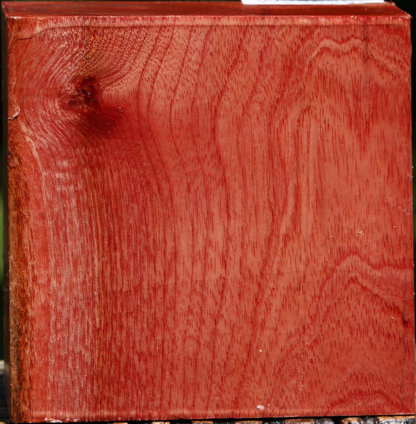 Pepperwood Bowl Blank