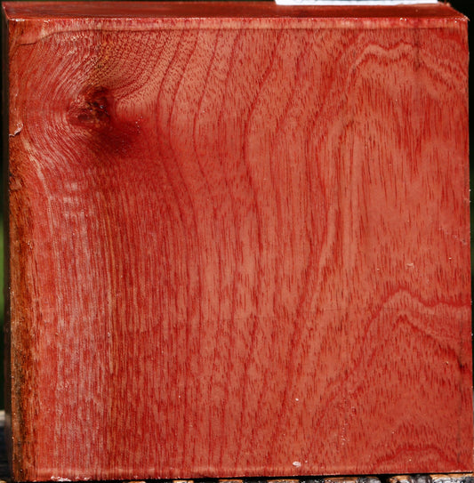 Pepperwood Bowl Blank