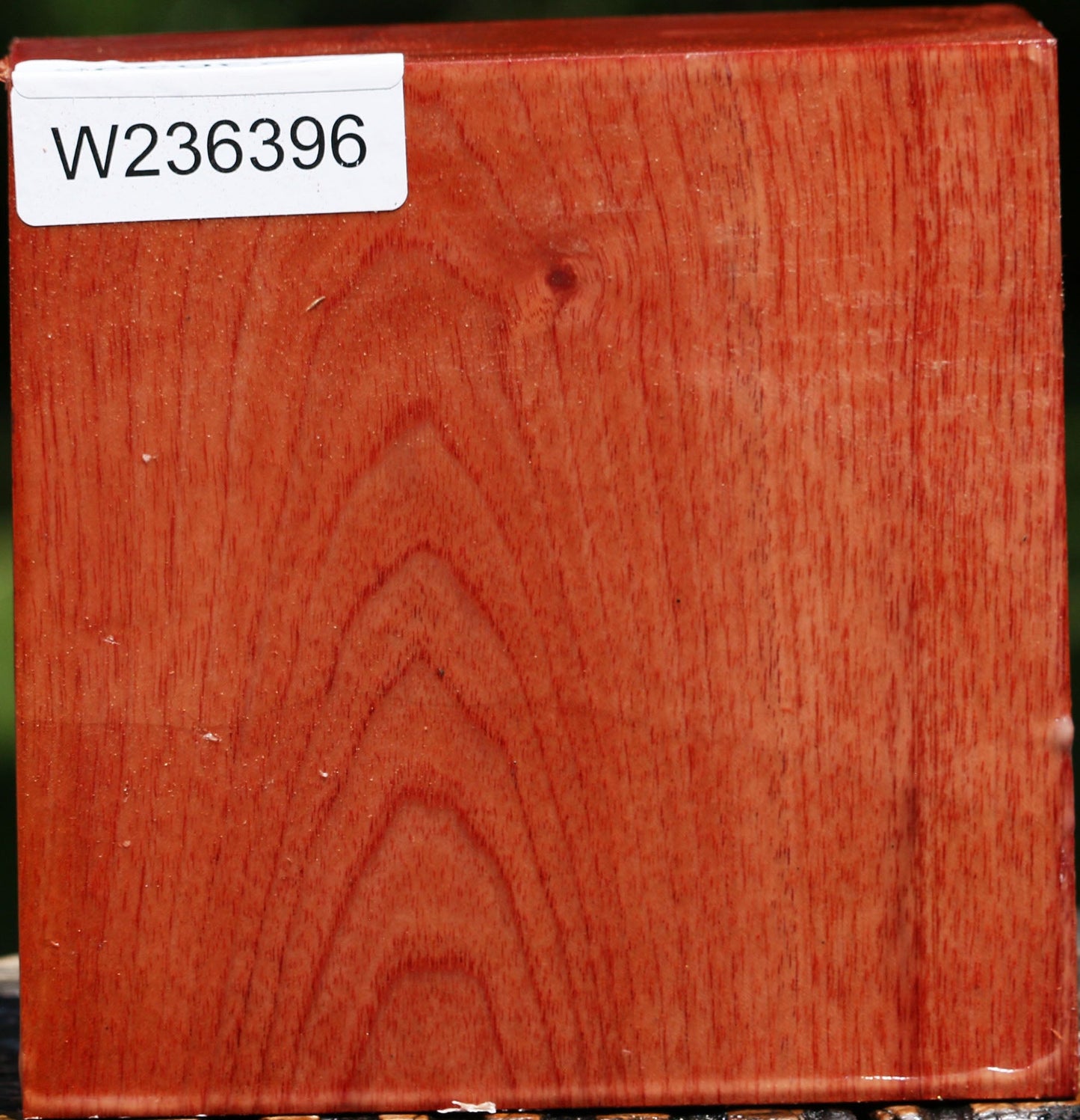 Pepperwood Bowl Blank