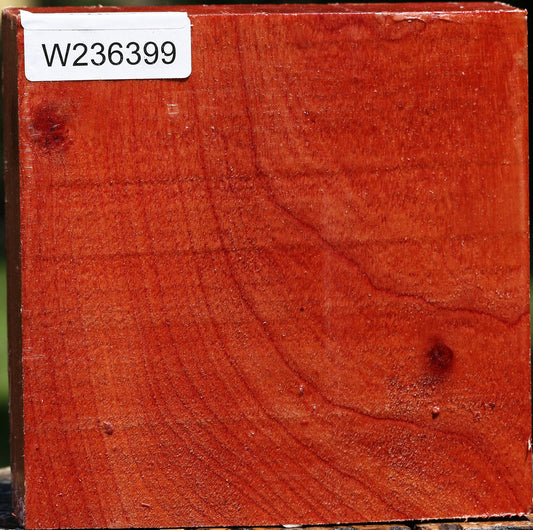 Pepperwood Bowl Blank