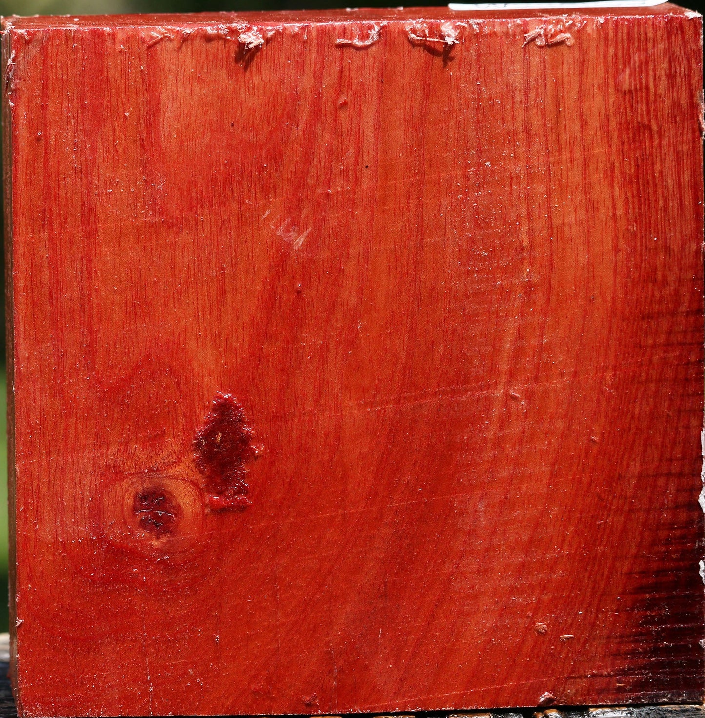 Pepperwood Bowl Blank