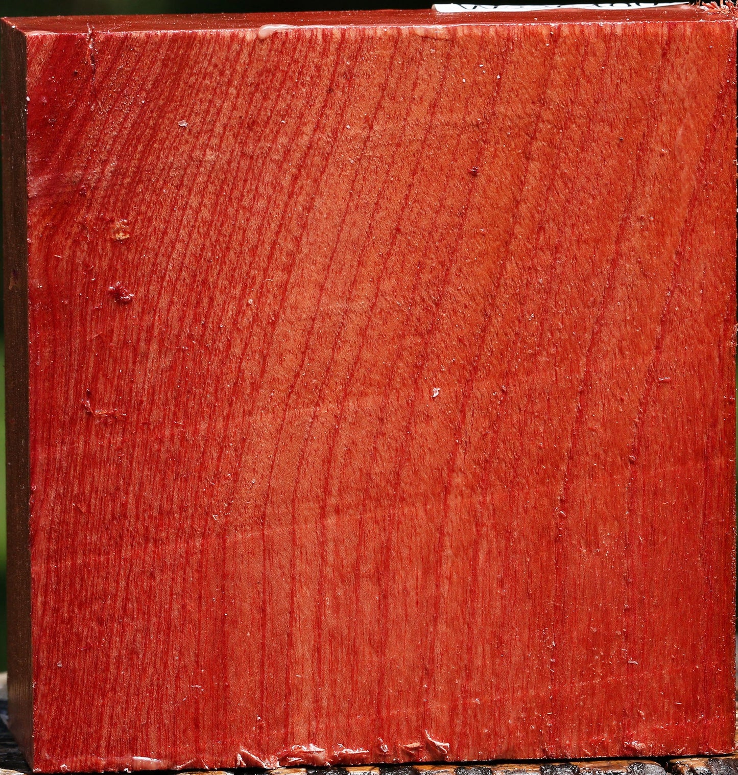 Pepperwood Bowl Blank