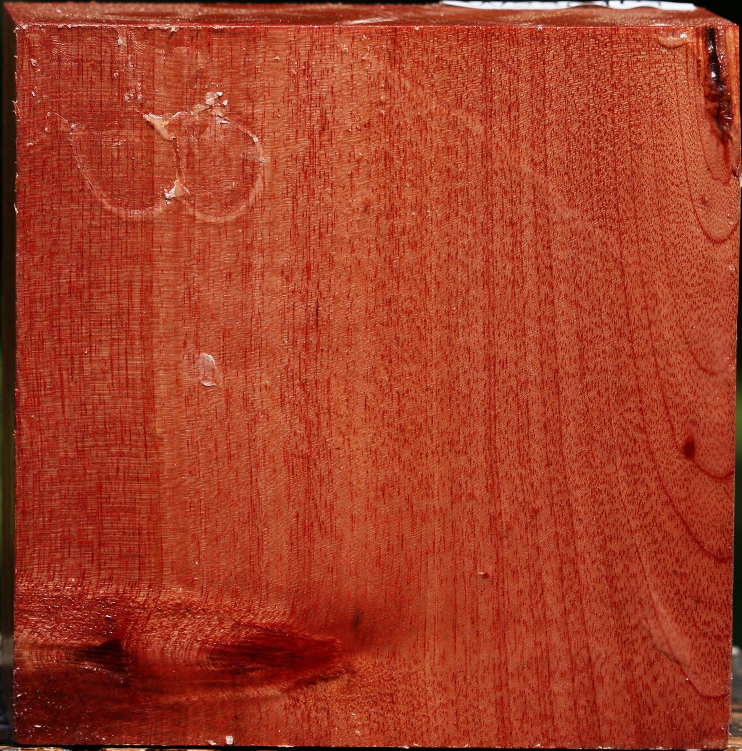 Pepperwood Bowl Blank