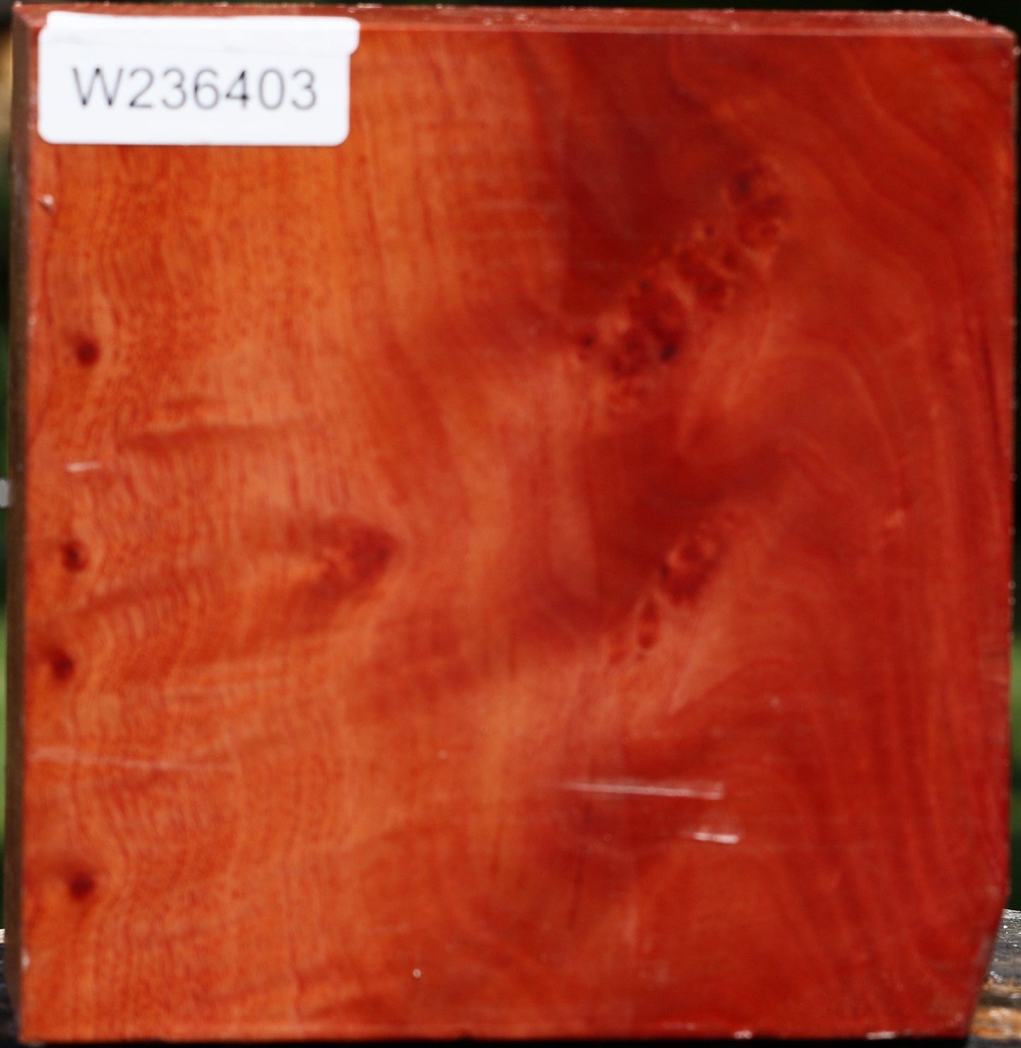 Extra Fancy Pepperwood Bowl Blank