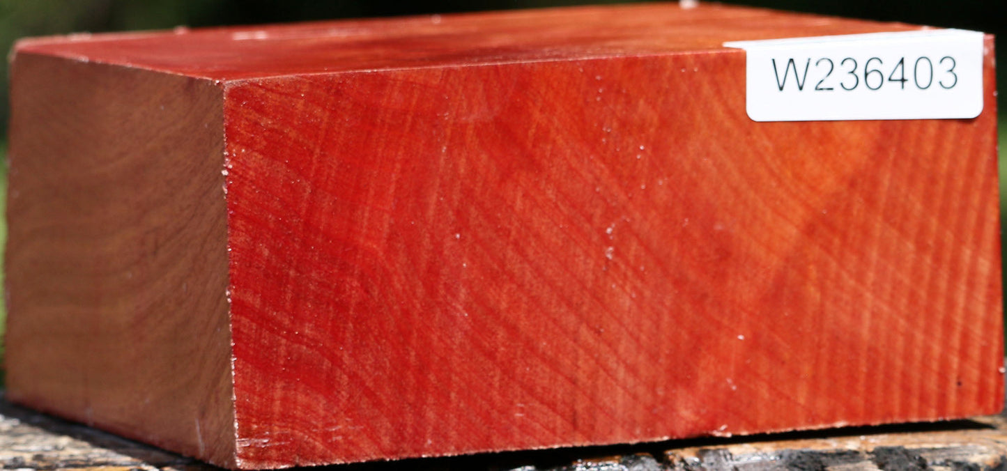 Extra Fancy Pepperwood Bowl Blank