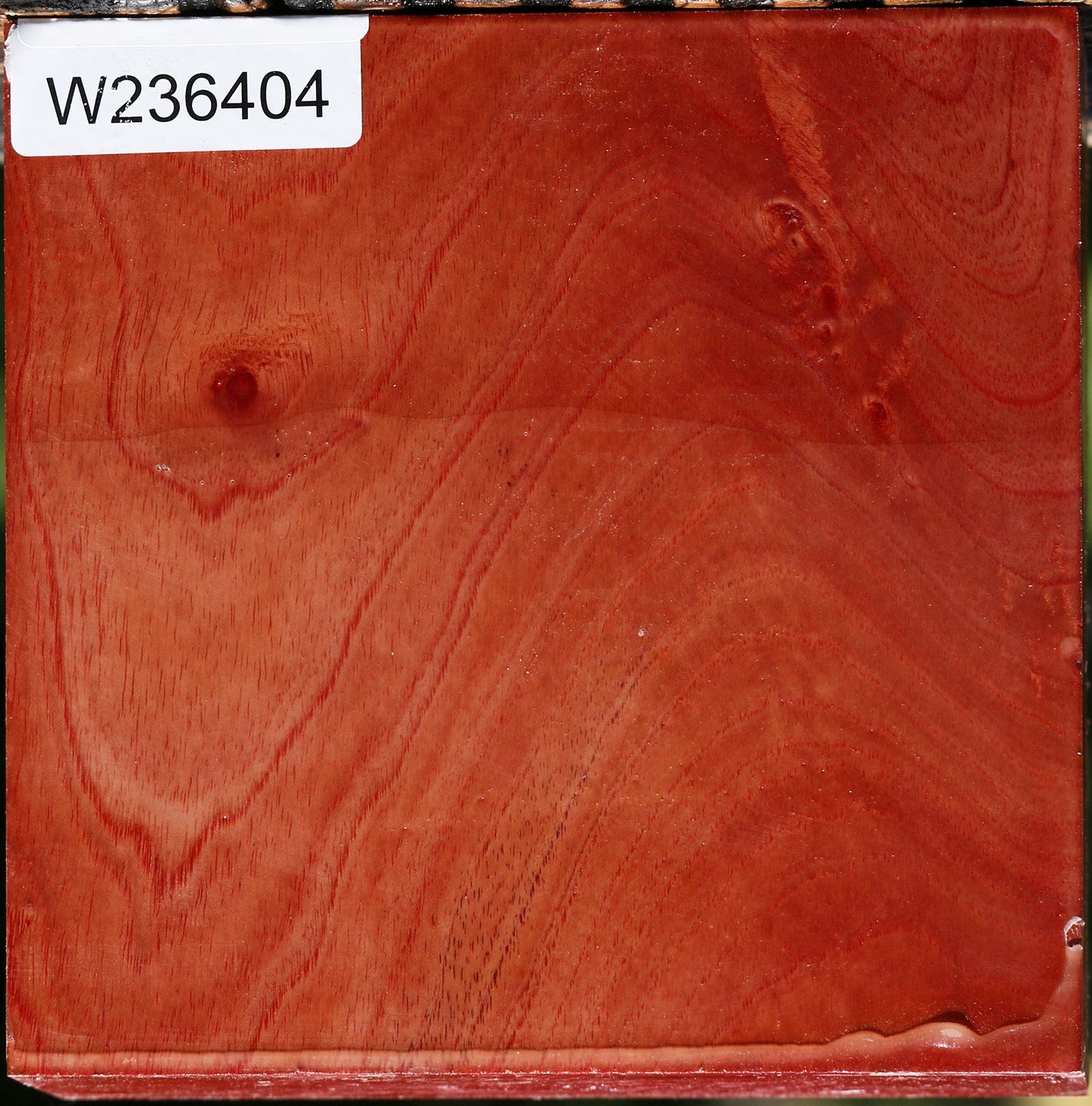 Pepperwood Bowl Blank