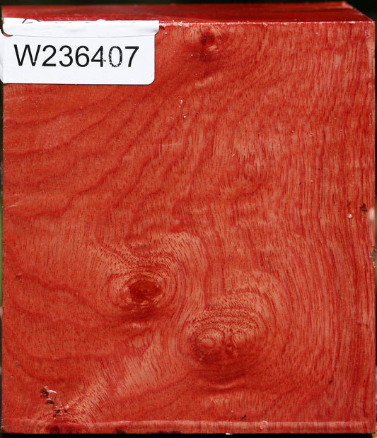 Figured Pepperwood Bowl Blank