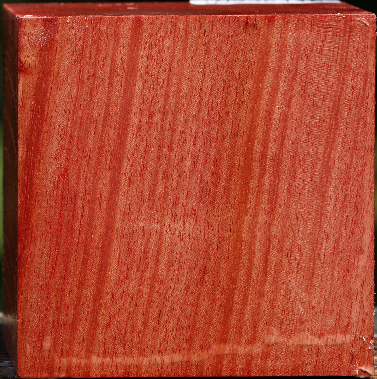 Pepperwood Bowl Blank