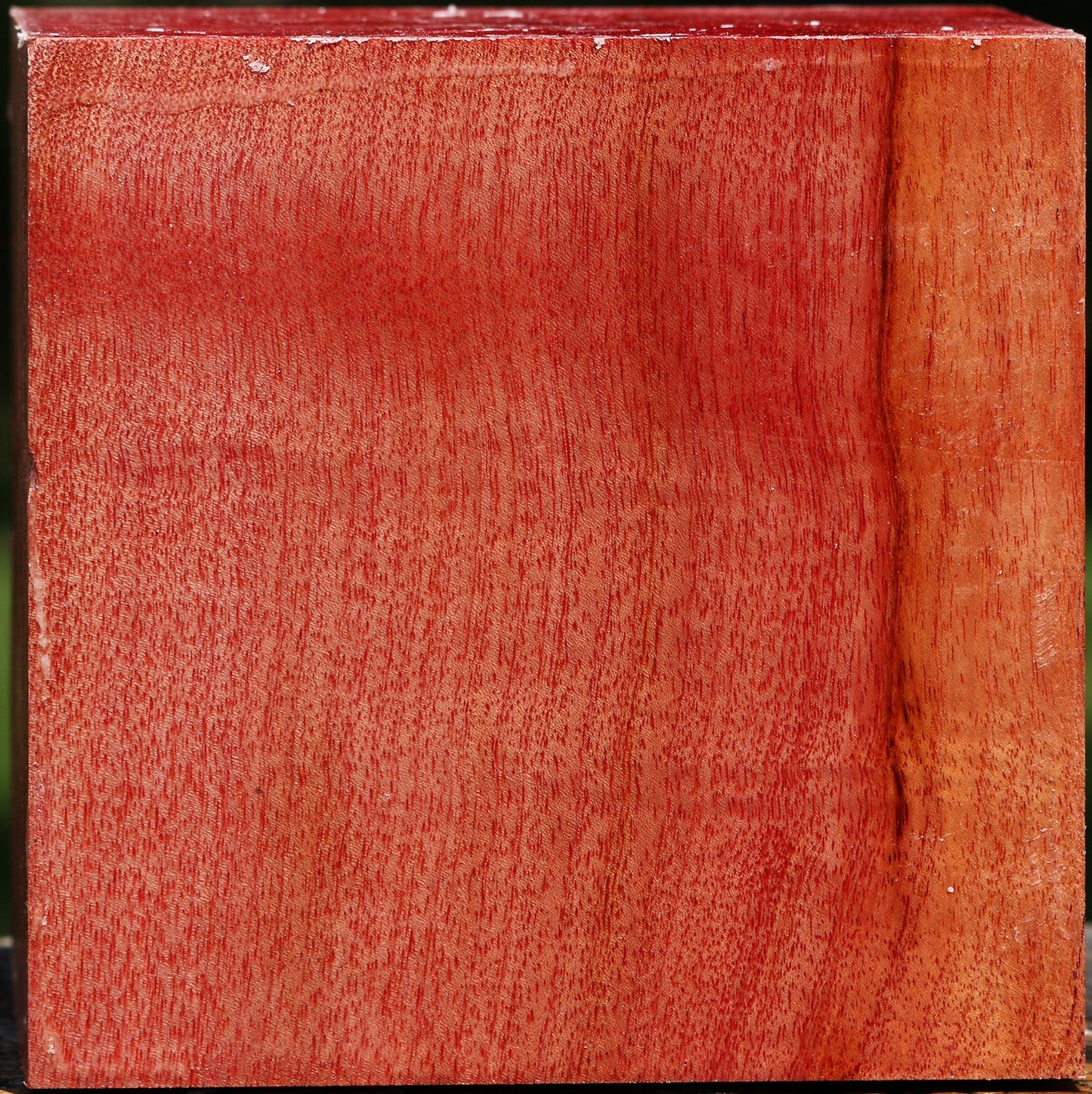 Pepperwood Bowl Blank