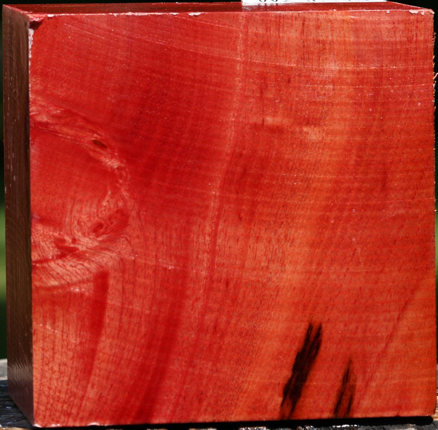 Pepperwood Bowl Blank