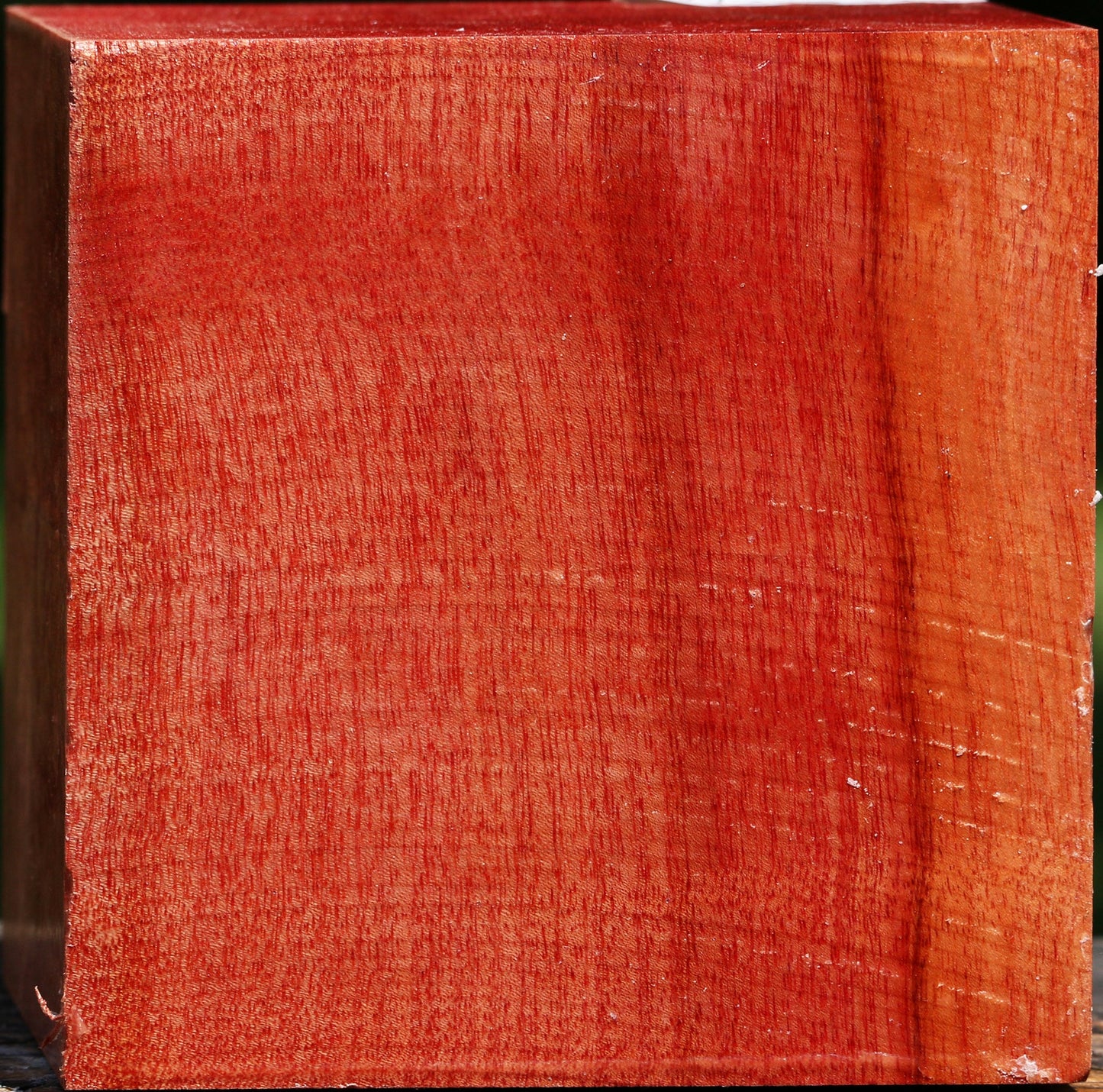 Figured Pepperwood Bowl Blank