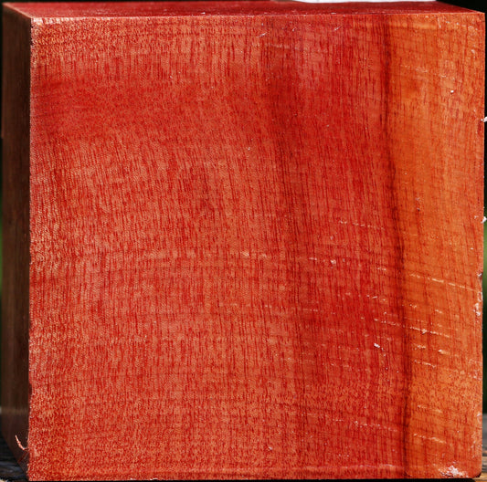 Figured Pepperwood Bowl Blank