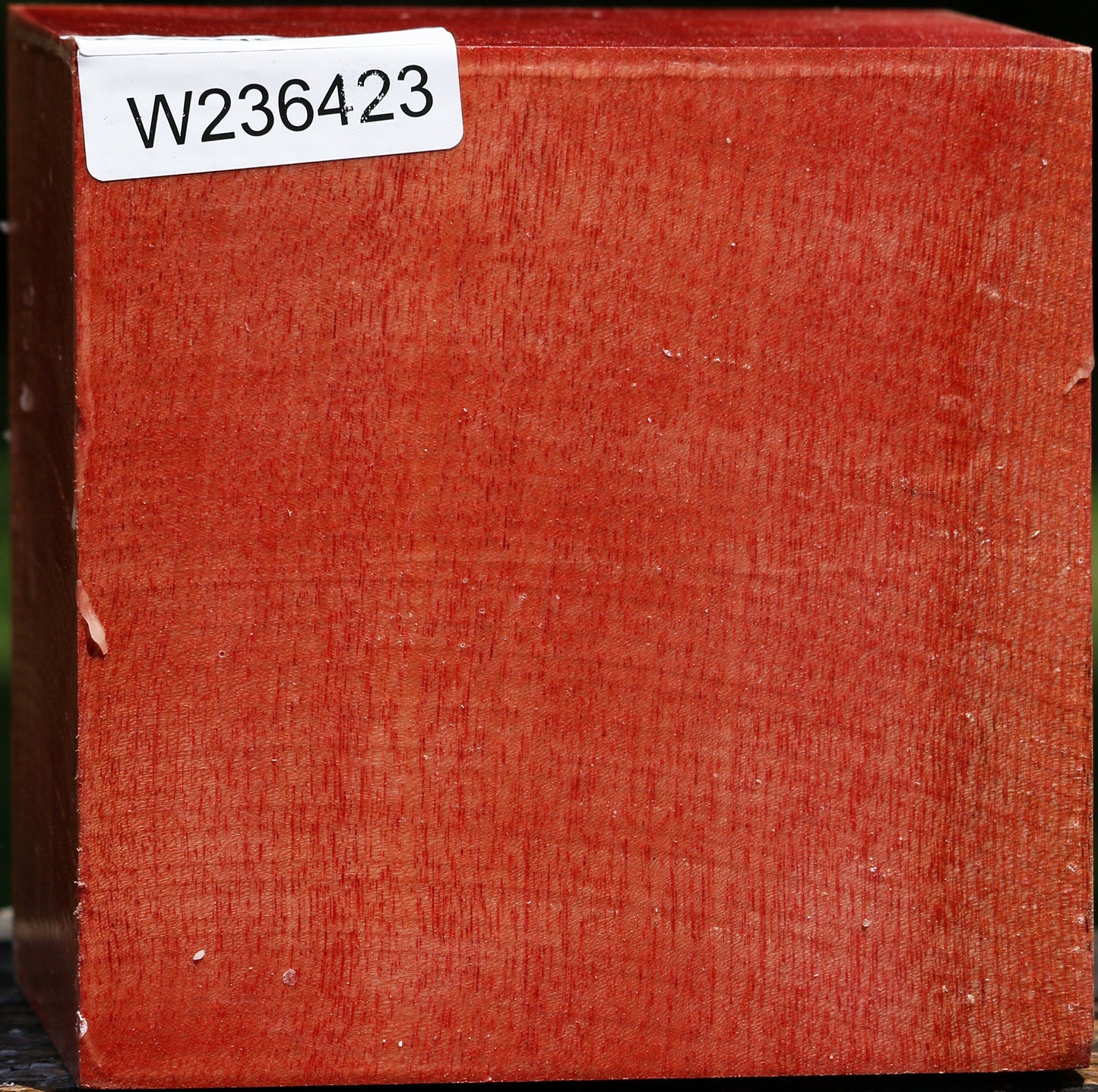 Figured Pepperwood Bowl Blank