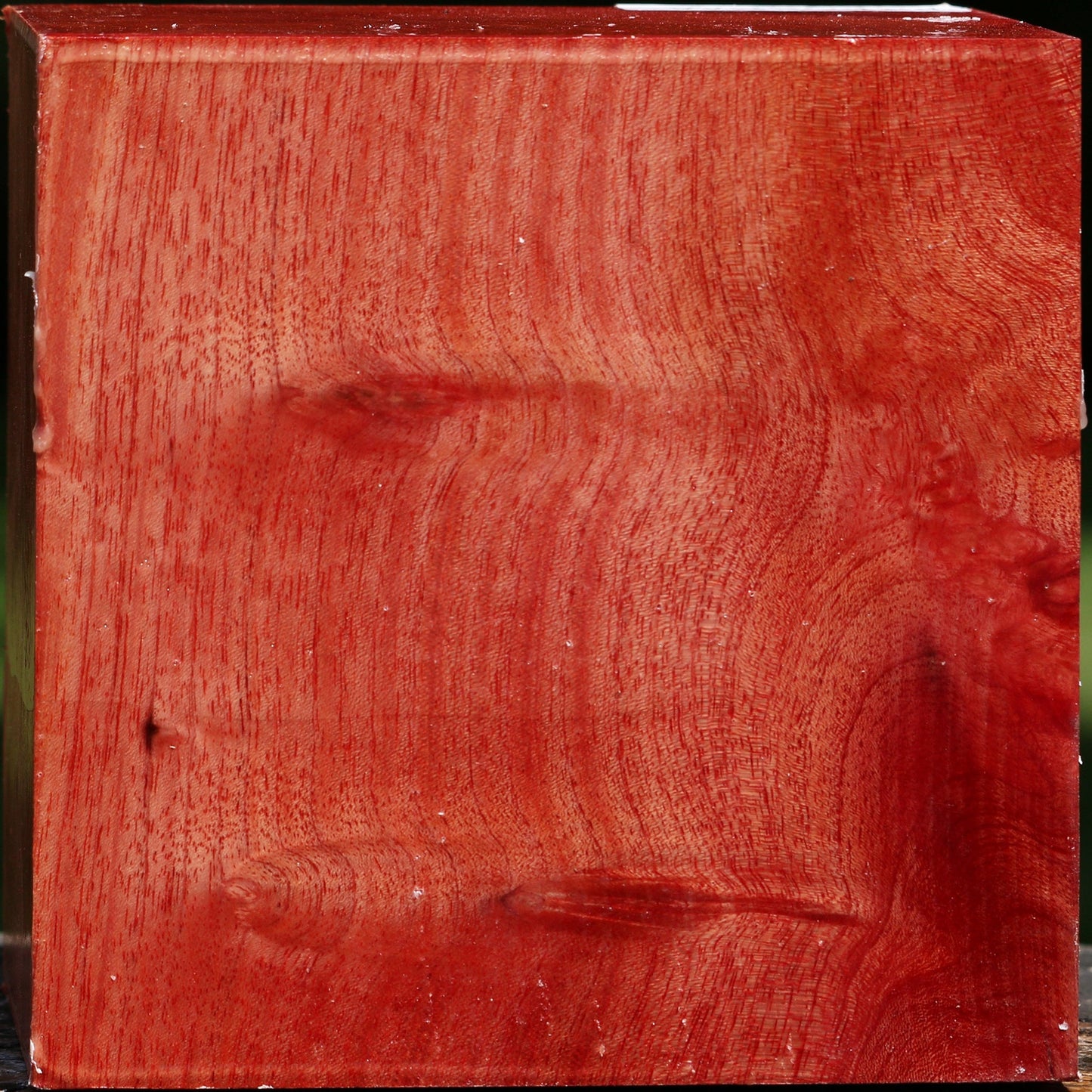 Pepperwood Bowl Blank