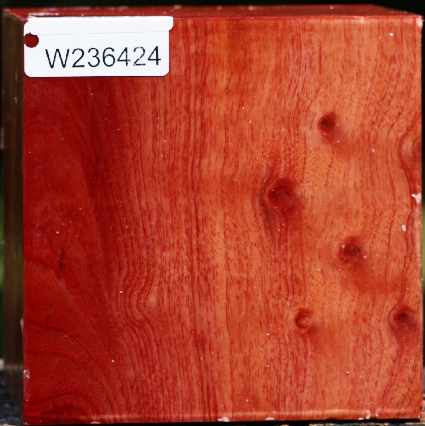 Pepperwood Bowl Blank